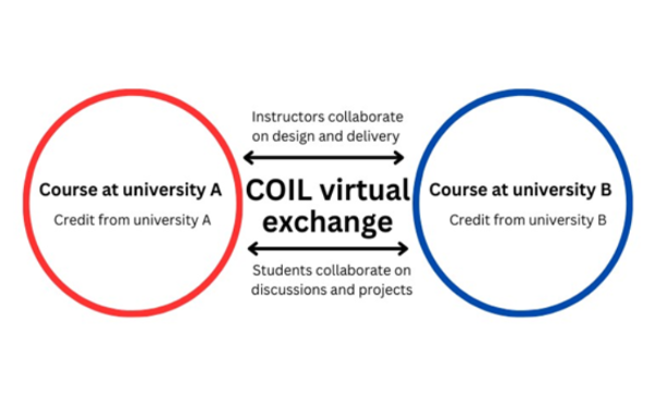 A graphical representation of a COIL virtual exchange