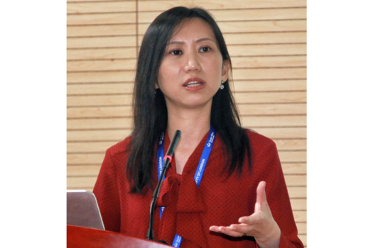 Professor Yue Chen