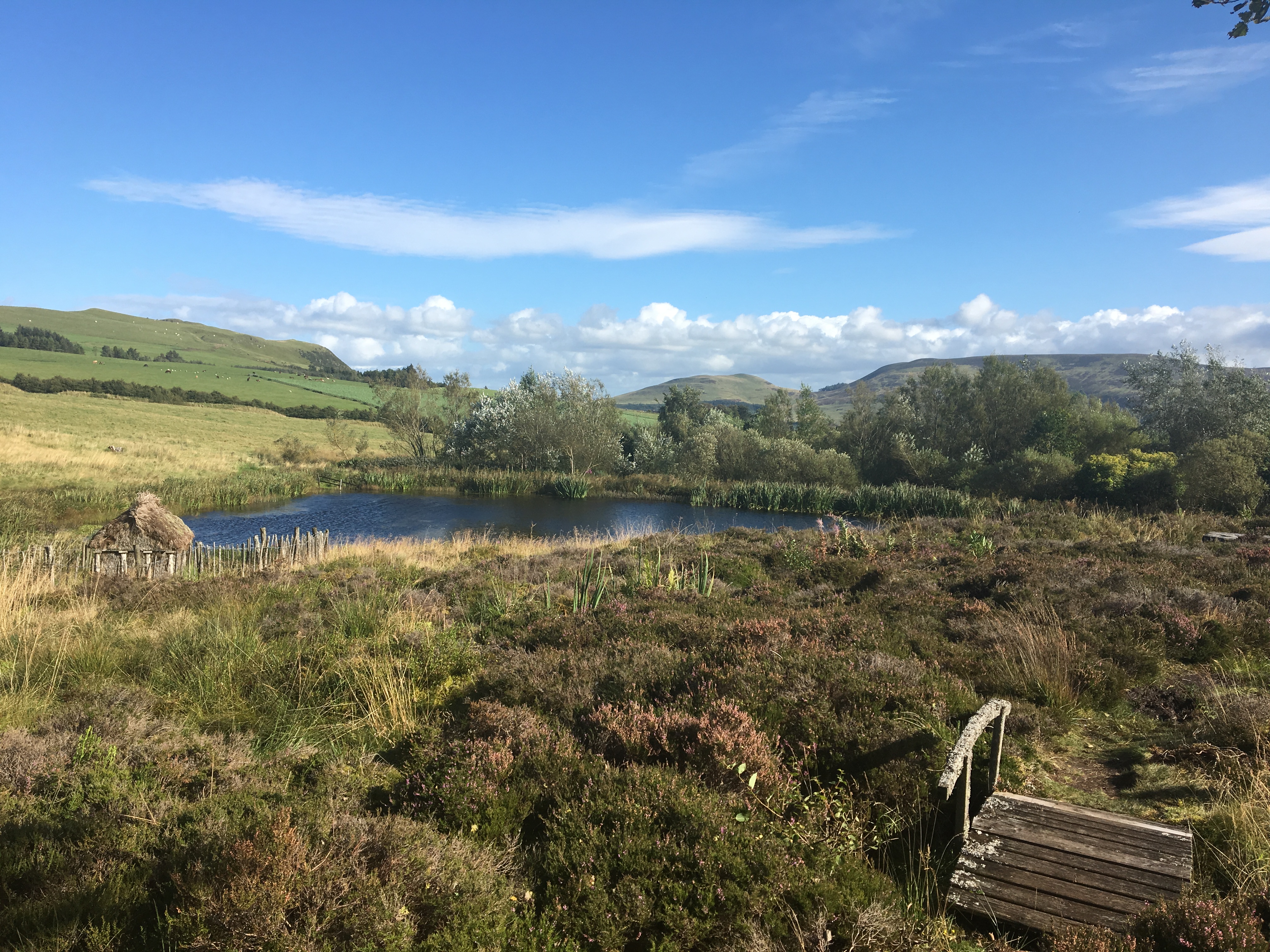 Little Sparta garden