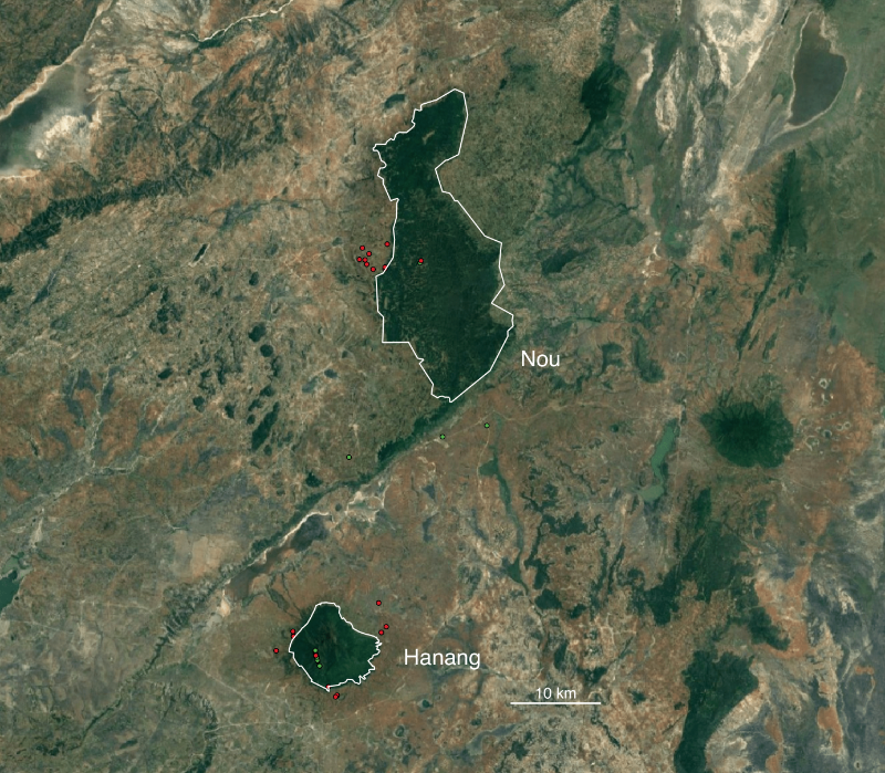 Satellite image of Nou and Mount Hanang forest reserves