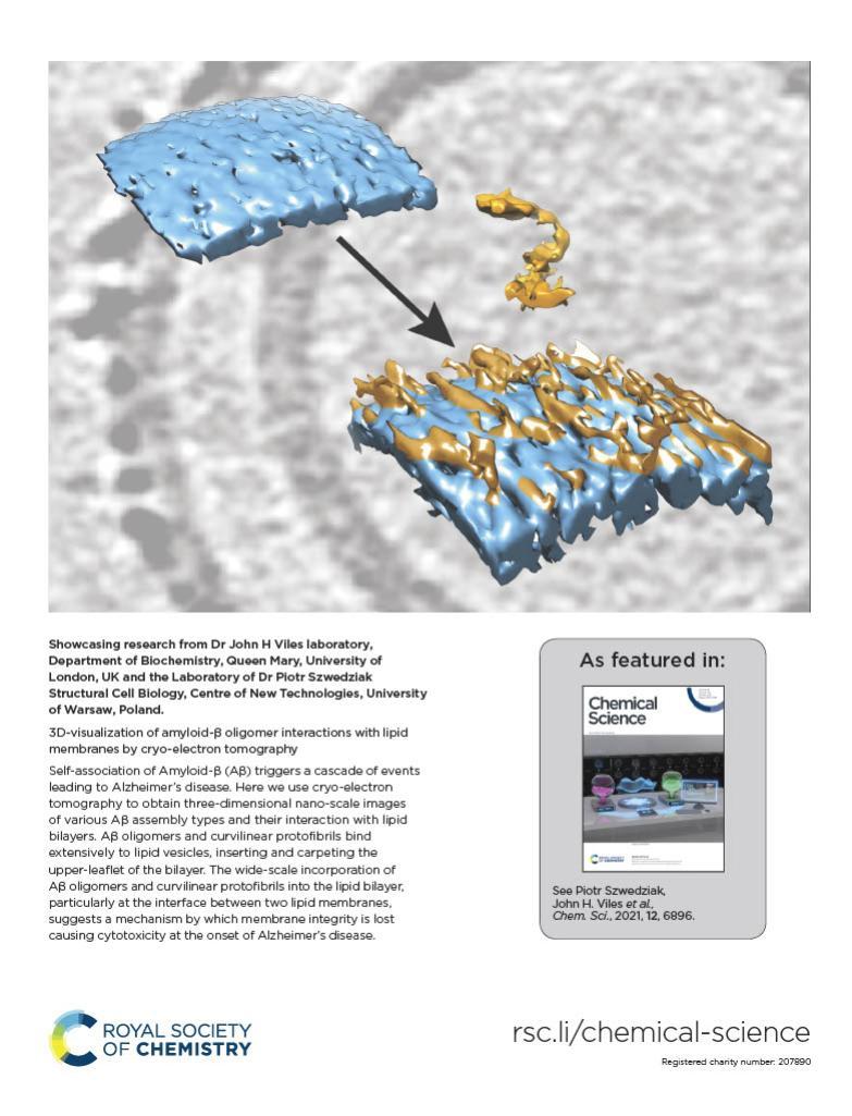 Amyloid – lipid membrane interactions and ion channel formation featured in Chemical Science