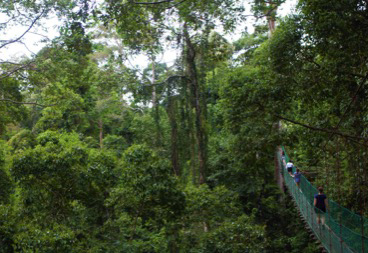 Danum Valley