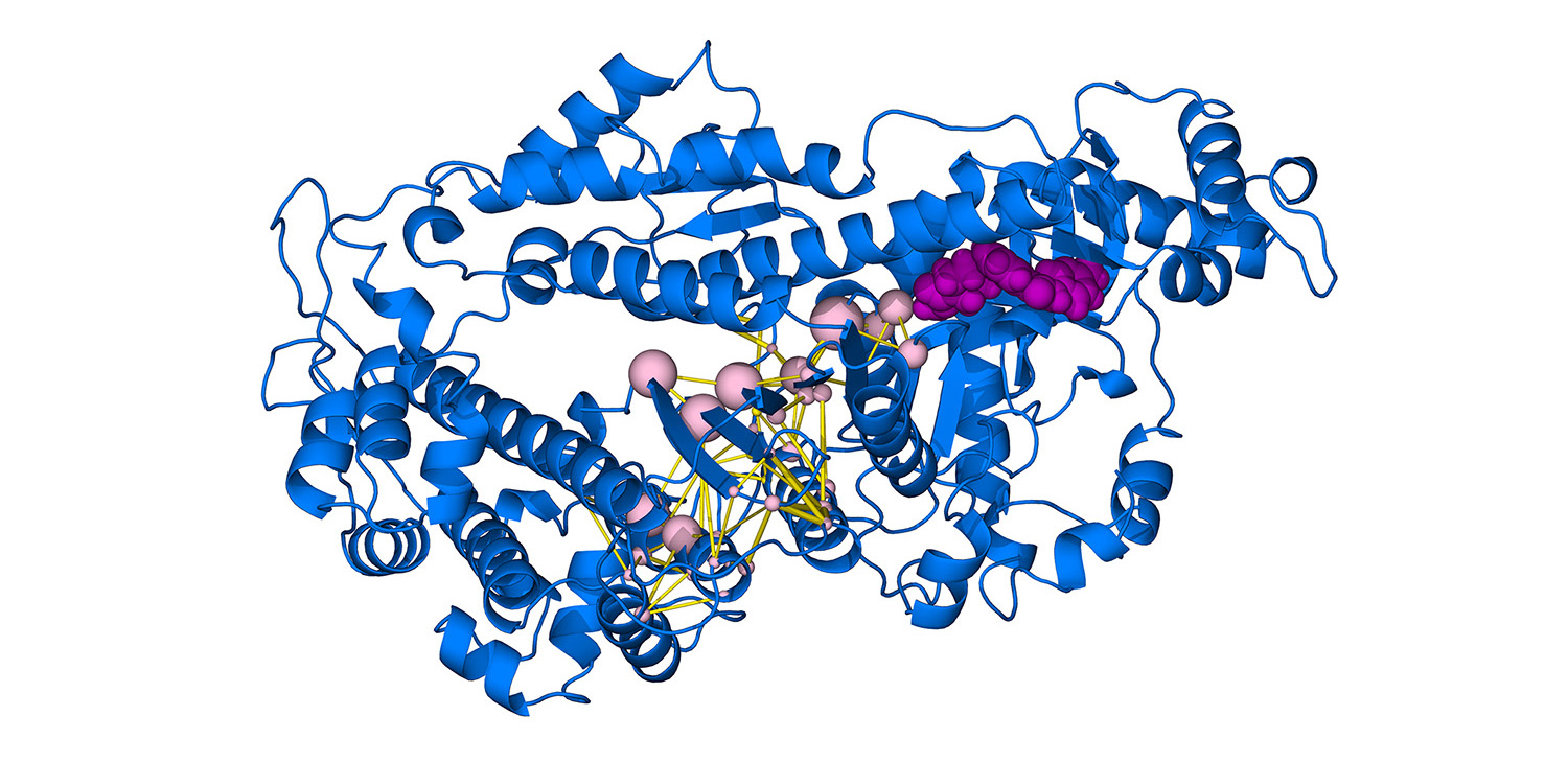 Structural Biology