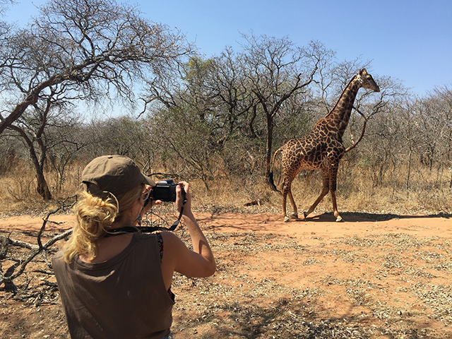 African Savannahs