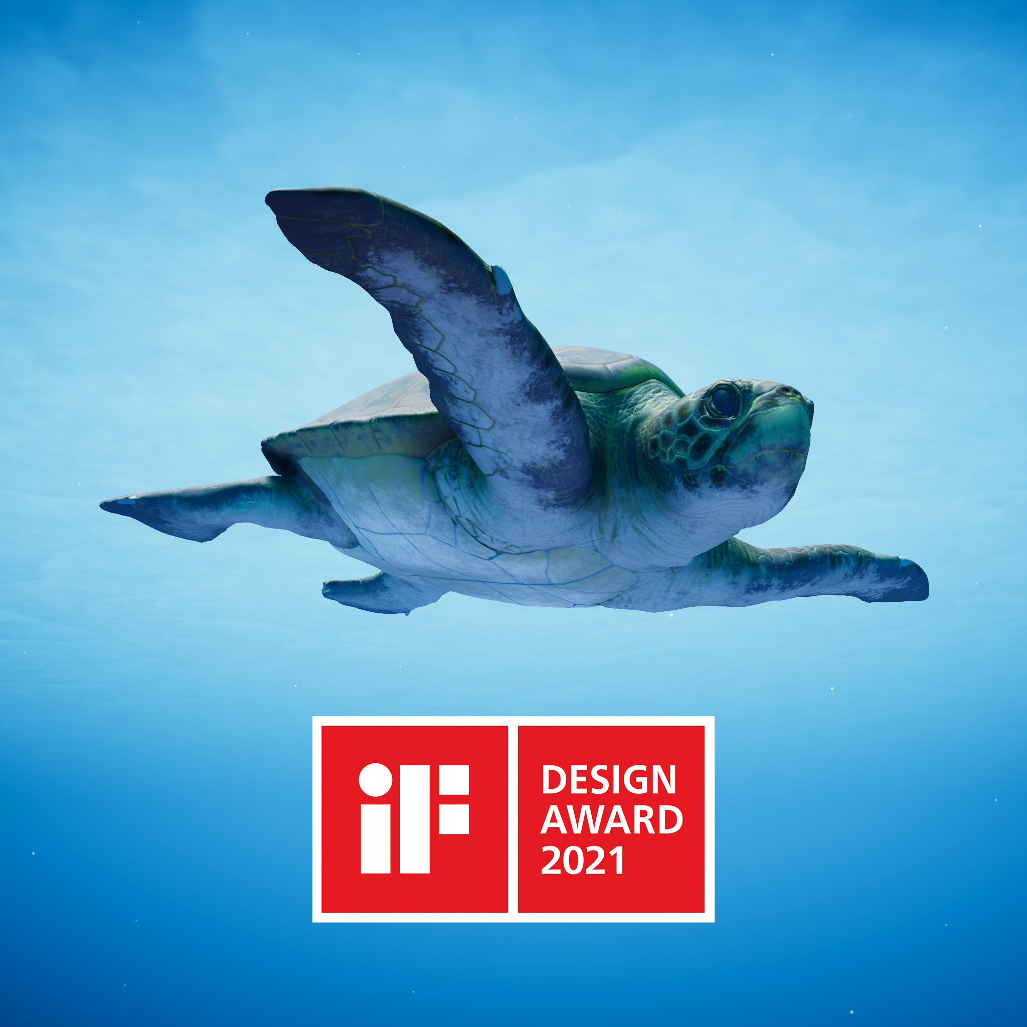 turtle 3D animation