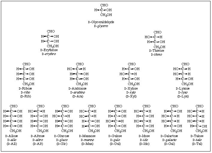Iupac Naming Chart