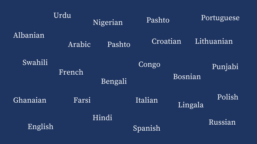 An image showing a list of diverse languages