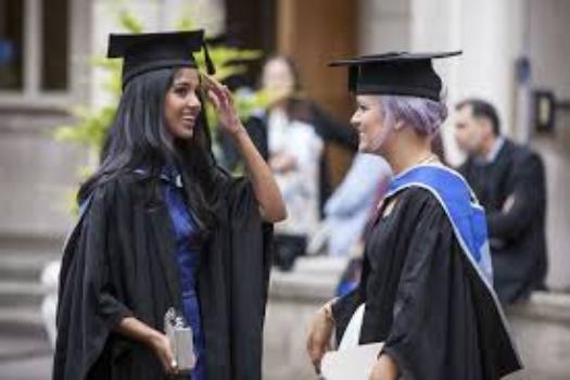 Undergraduate study