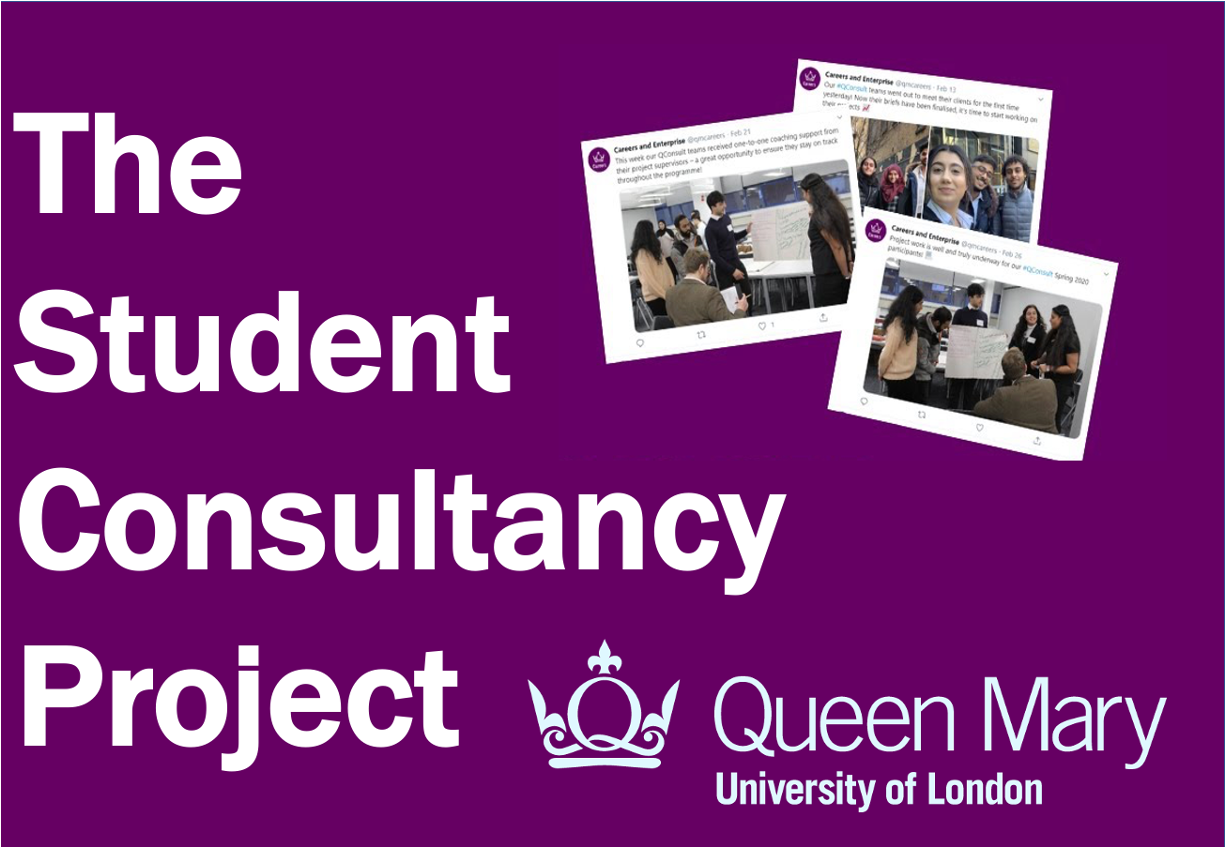 The Student Consultancy Project