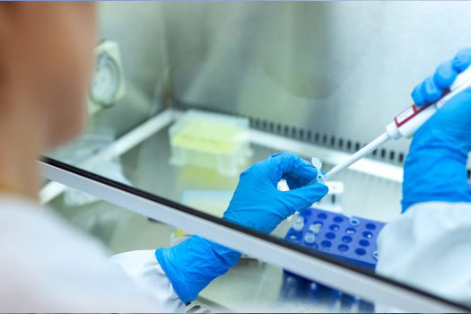 Scientist working in laboratory, Pipette and test tube