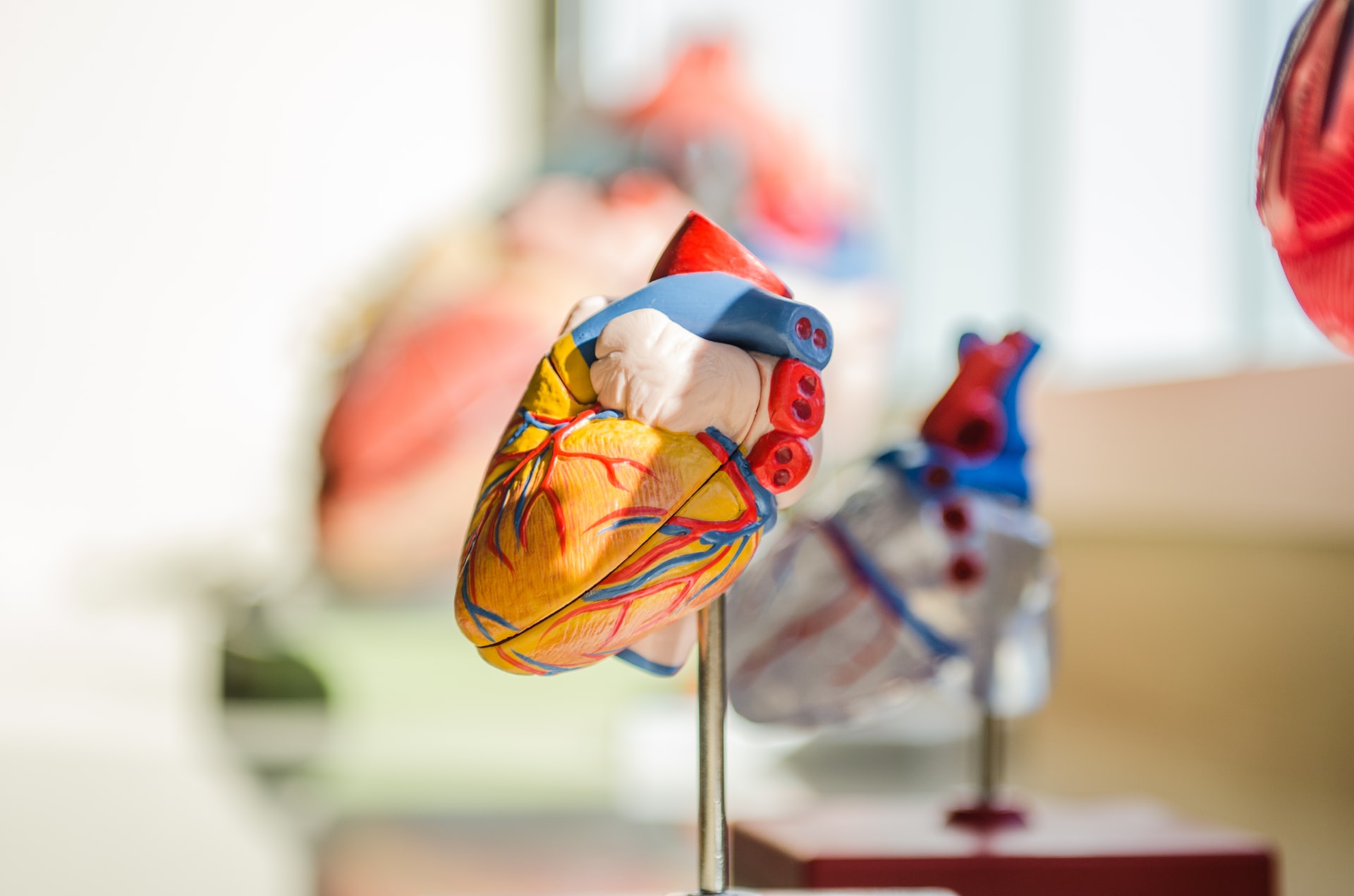 Scientific Heart Prop