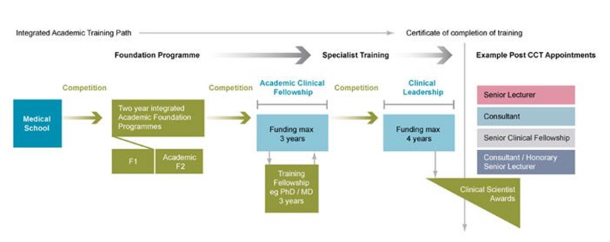 A graphic illustrating the Integrated Academic Training Pathway from medical school to academic post