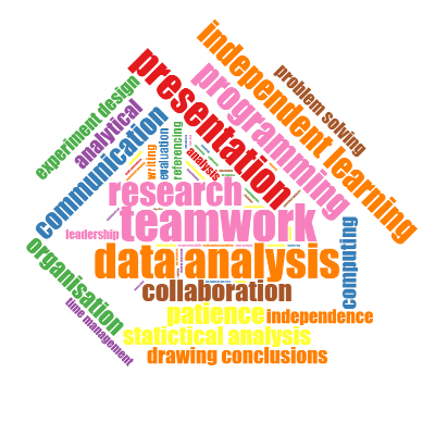 Word cloud of skills developed
