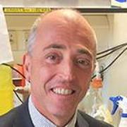 Professor Mauro Perretti PhD FBPhS