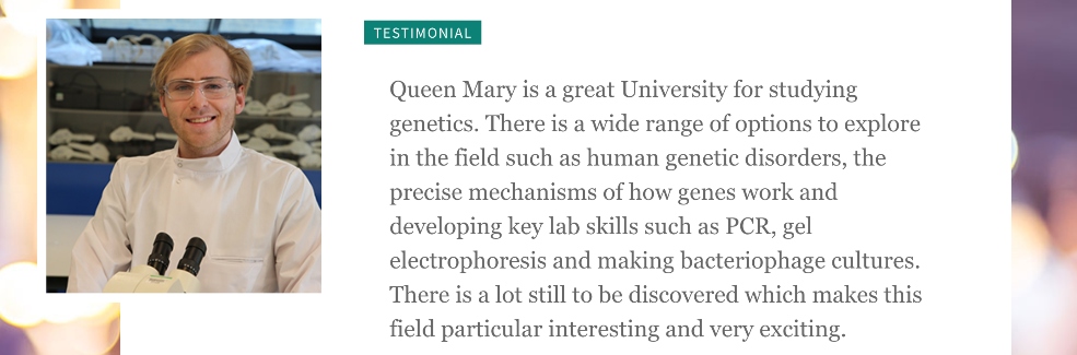 Screenshot of student testimonial