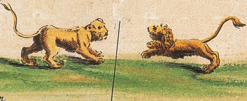 Image of fighting lions from early modern map
