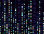 Genomic analysis visualisation