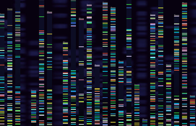 Genomic analysis visualisation