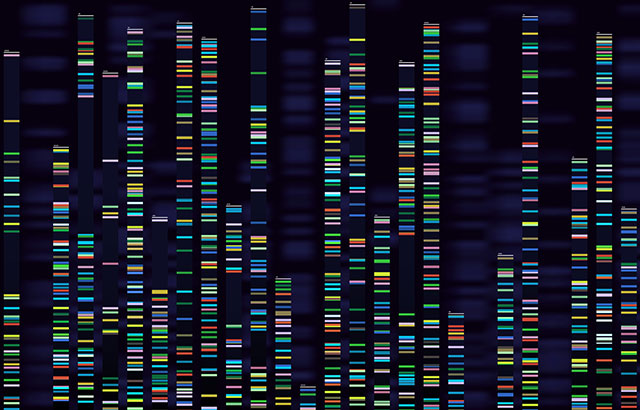 Pinpointing rare disease mutations. Credit: Tetiana Lazunova/ iStock.com