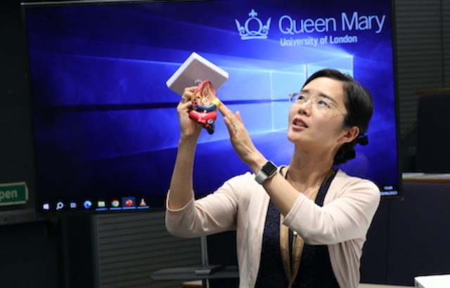 Dr Jianmin Chen holding a model heart as part of her presentation, 'Exploring the connection between rheumatoid arthritis and heart health'