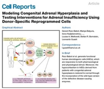 Modeliing congenital adrenal hyperlapsia and testing...