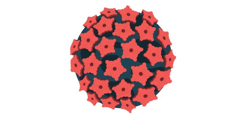 An artist's impression of the human papillomavirus (HPV)