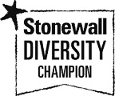Logo 1 - stonewall diversity